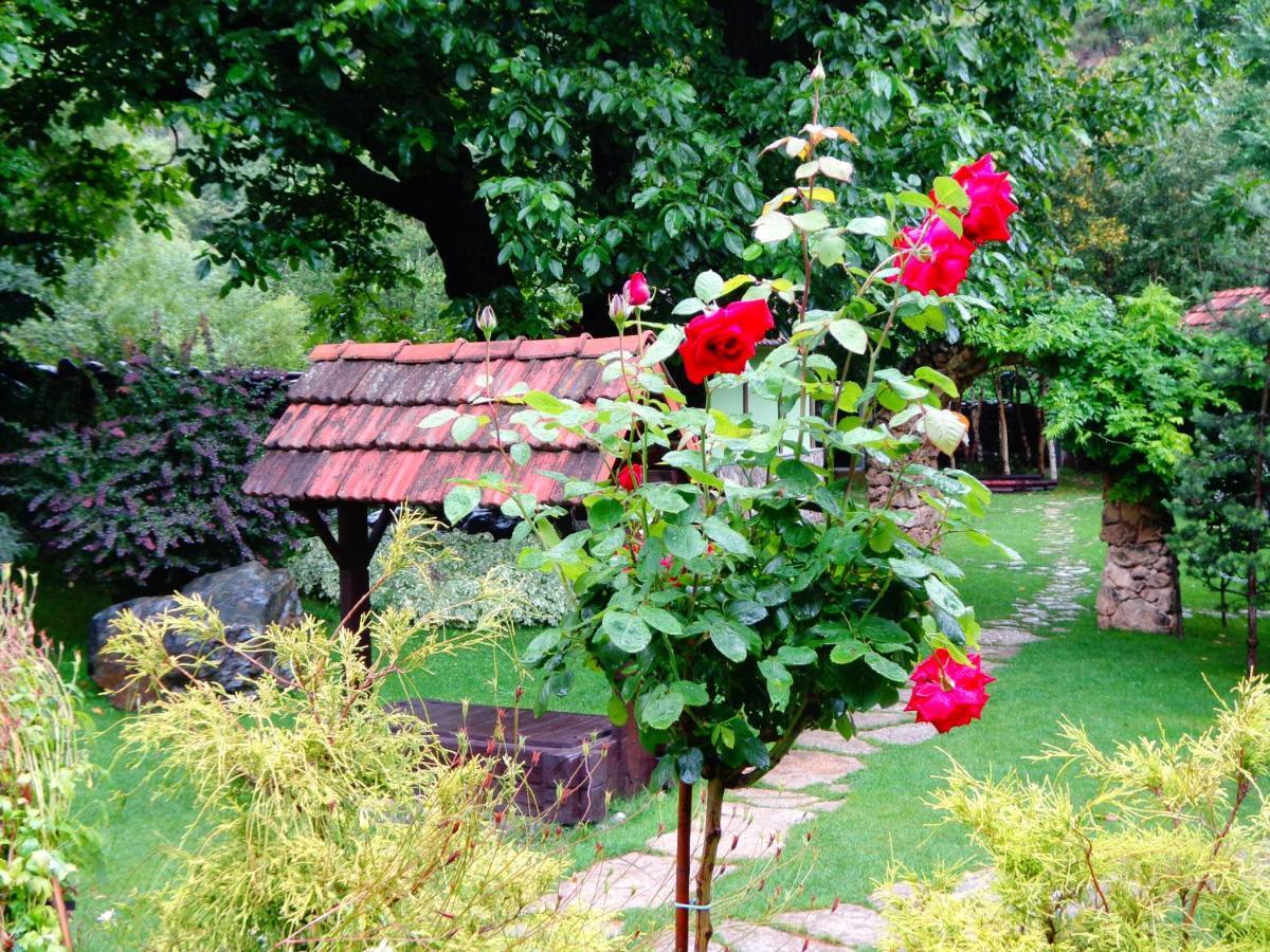 Bed and Breakfast Eco Garden Діліжан Екстер'єр фото